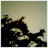 Twilight